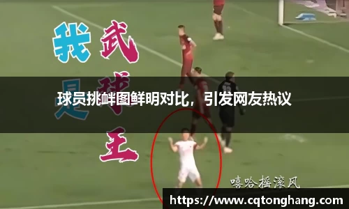 完美体育